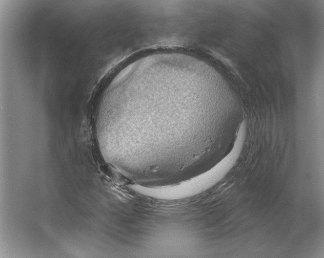 X0000064741160200603031700