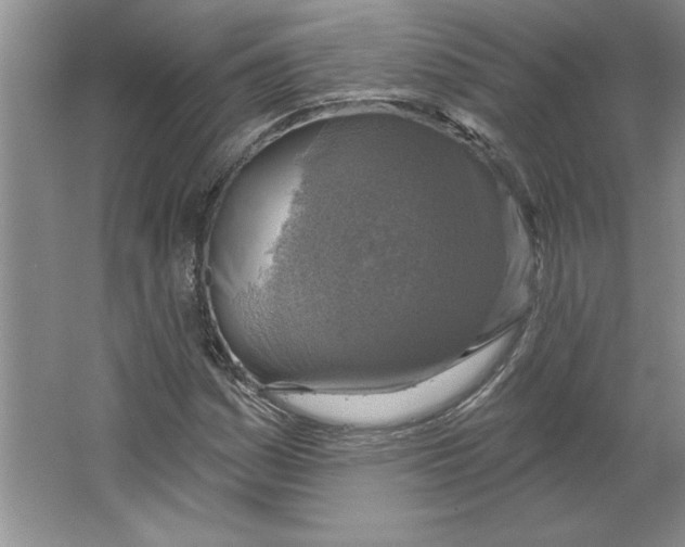 X0000064741161200603031700