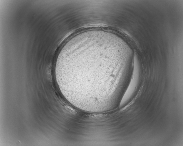 X0000064741162200603031700