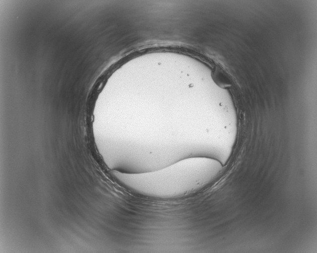 X0000064741165200603031700