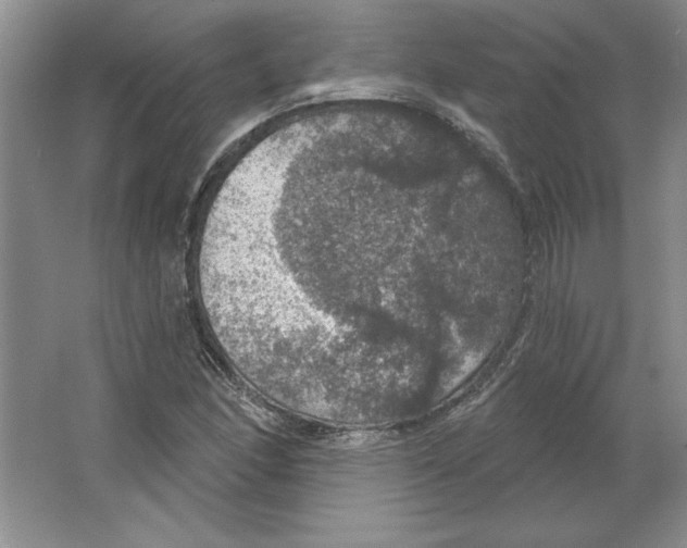 X0000064741166200603031700