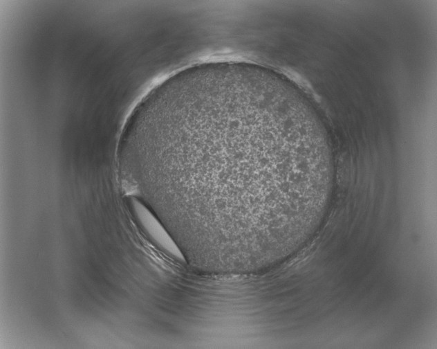 X0000064741167200603031700