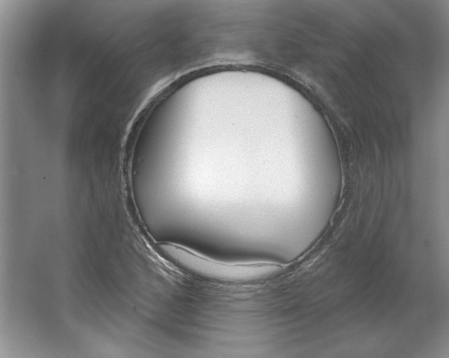 X0000064741168200603031700