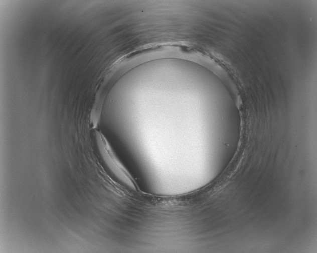 X0000064741169200603031700