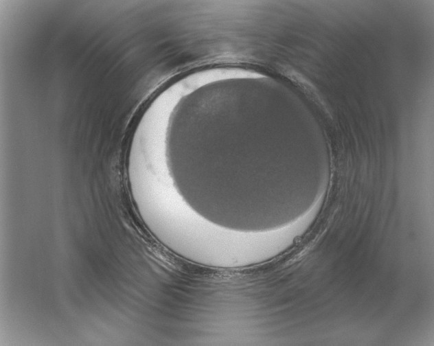 X0000064741170200603031700