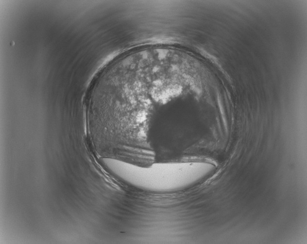 X0000064741171200603031700