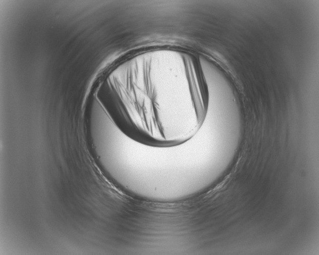 X0000064741172200603031700