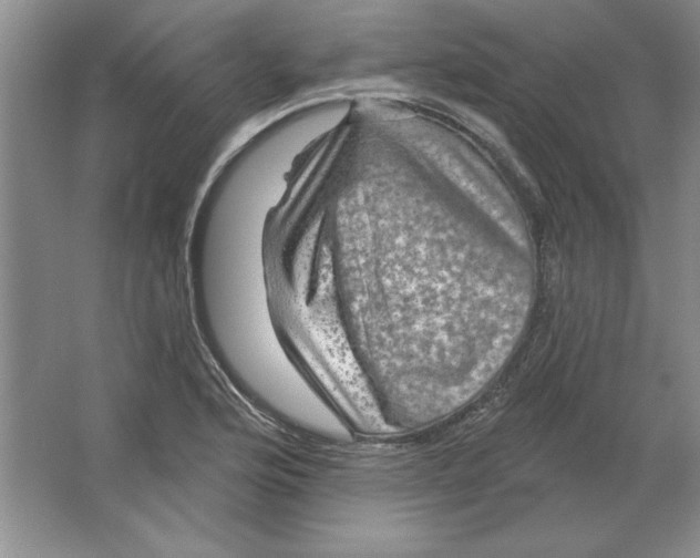 X0000064741176200603031700