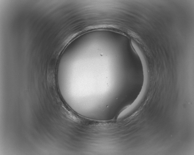 X0000064741177200603031700