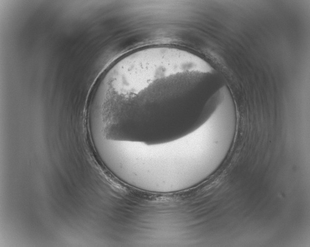 X0000064741178200603031700