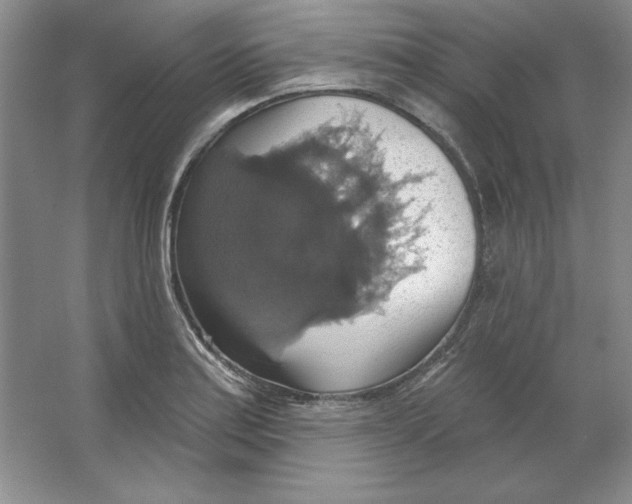 X0000064741179200603031659