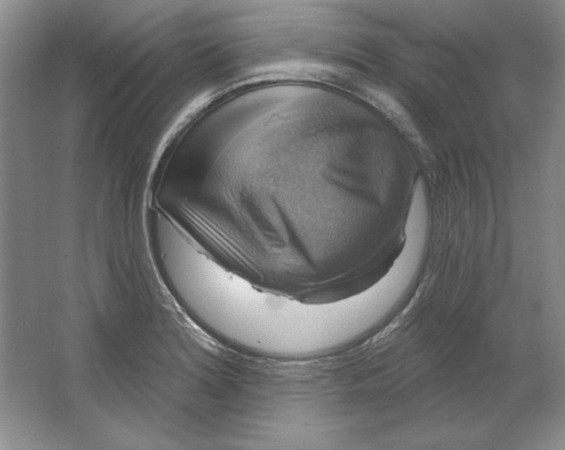 X0000064741180200603031659