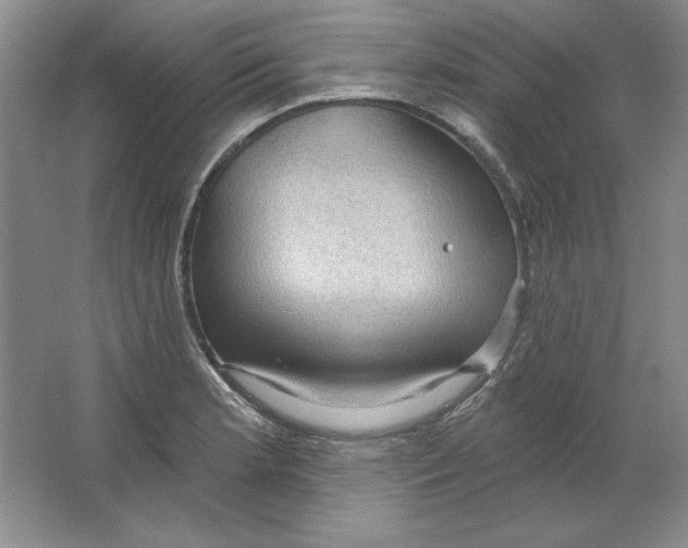 X0000064741181200603031659