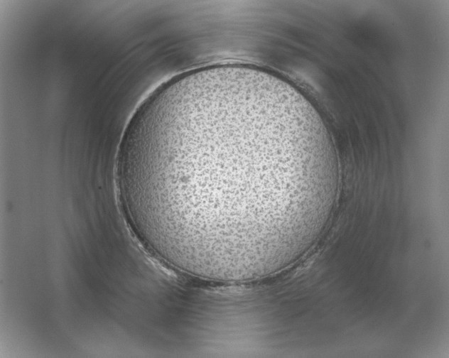 X0000064741182200603031659