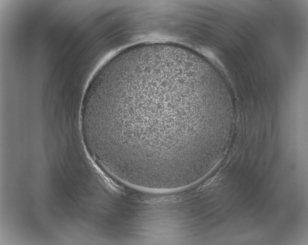 X0000064741183200603031659