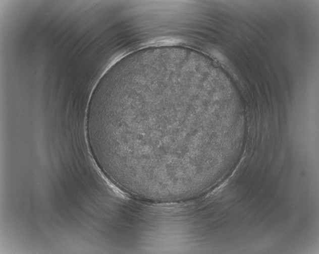 X0000064741186200603031659