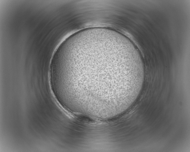 X0000064741187200603031659