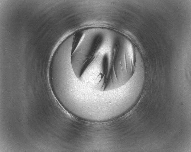 X0000064741188200603031659