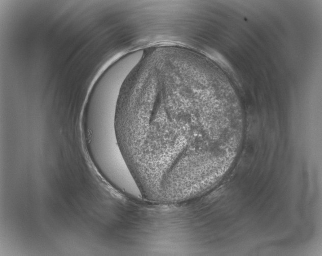 X0000064741190200603031659