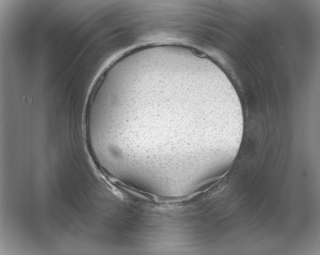 X0000064741191200603031659