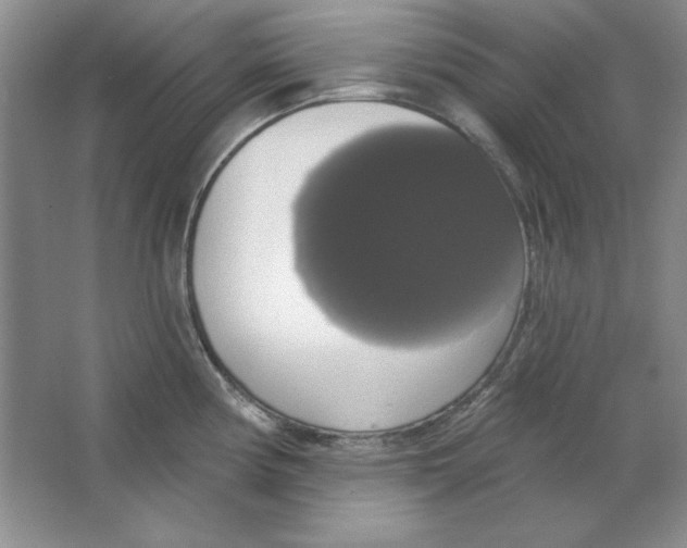 X0000064741194200603031659