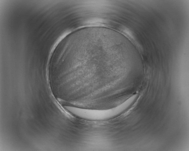 X0000064741196200603031659