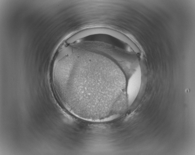 X0000064741197200603031659