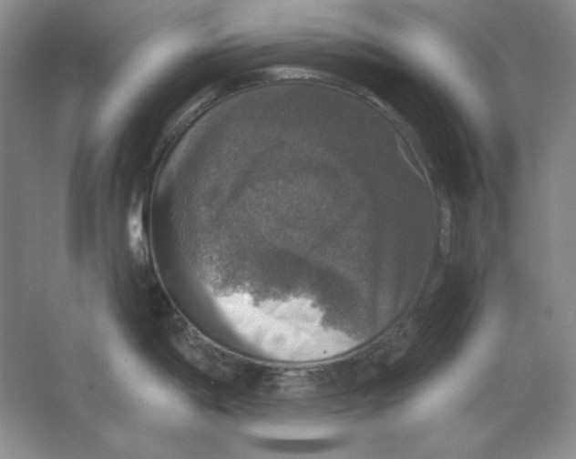 X0000064741198200603031659