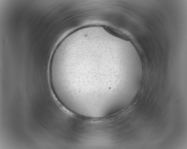 X0000064741199200603031659