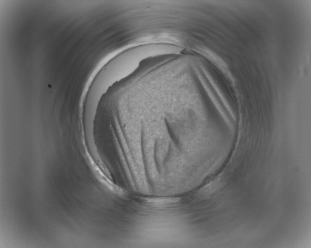 X0000064741200200603031659