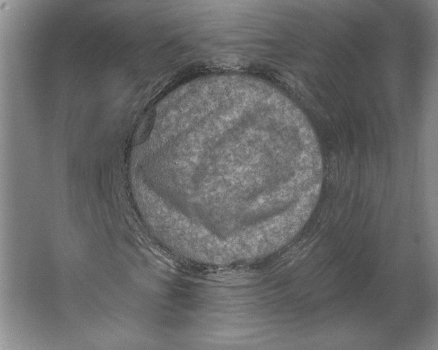 X0000064741201200603031658