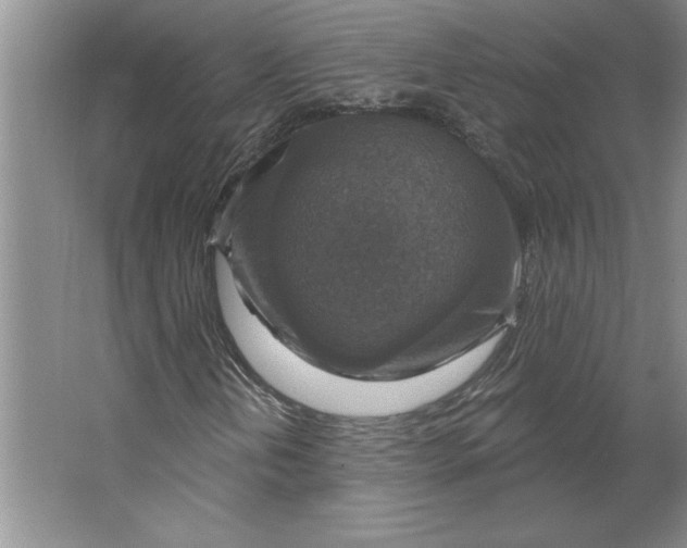 X0000064741202200603031658