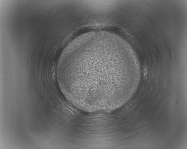 X0000064741204200603031658