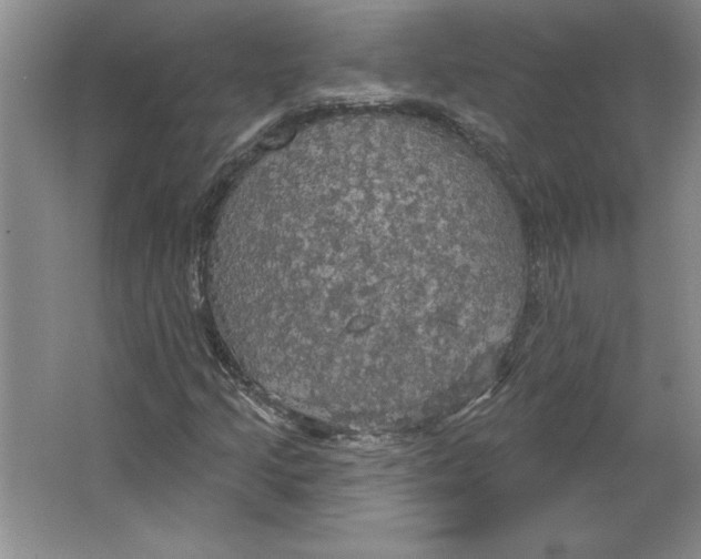 X0000064741205200603031658