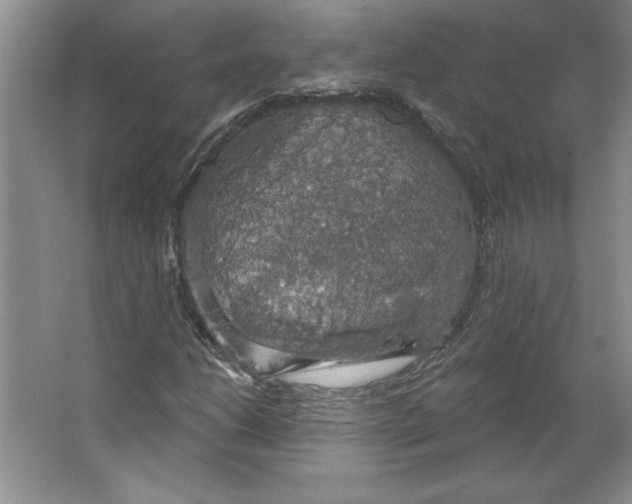 X0000064741206200603031658