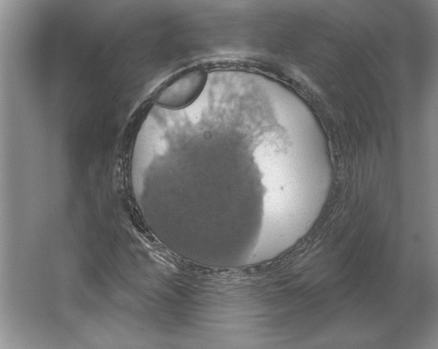 X0000064741208200603031658