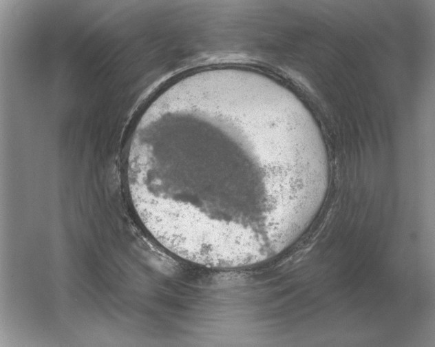 X0000064741212200603031659