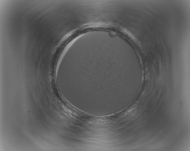 X0000064741213200603031659