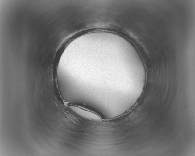 X0000064741214200603031659