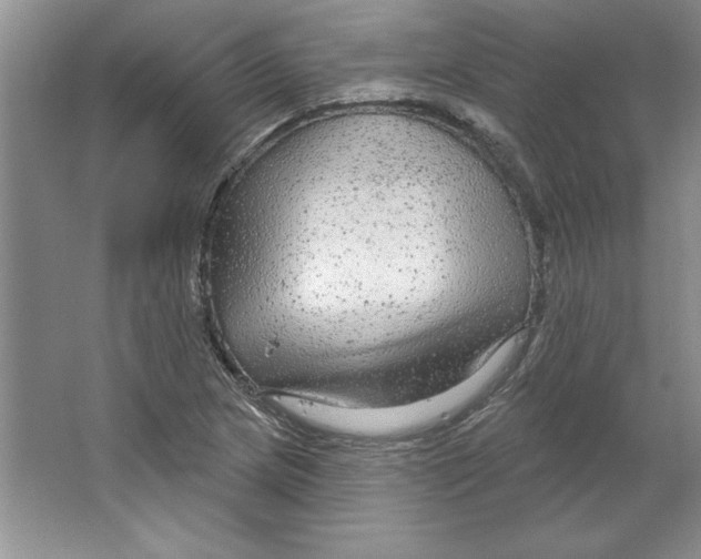 X0000064741217200603031659