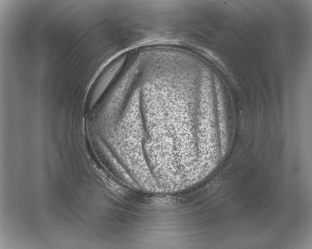 X0000064741220200603031659