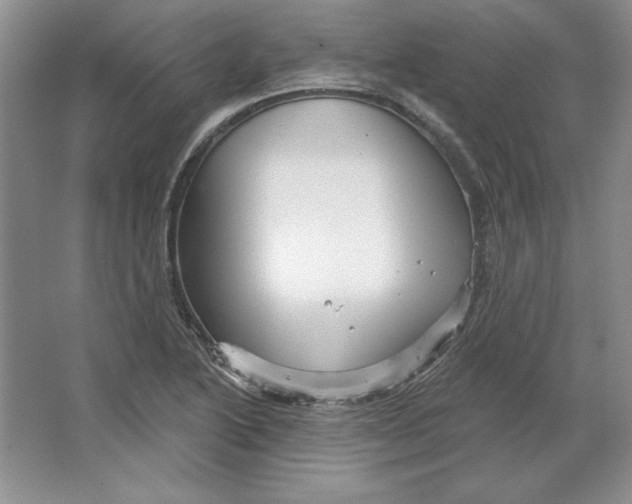 X0000064741222200603031659