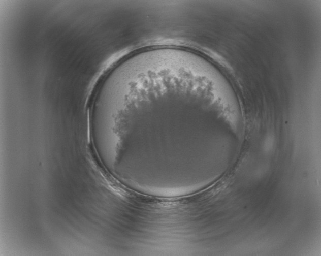 X0000064741223200603031659