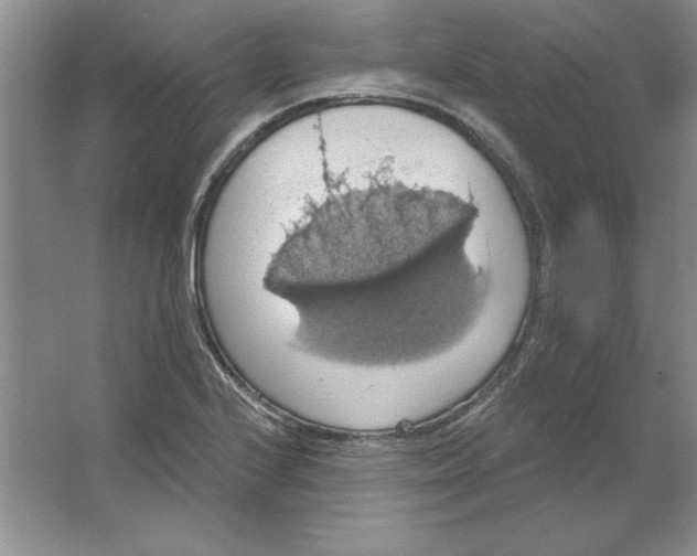 X0000064741224200603031659