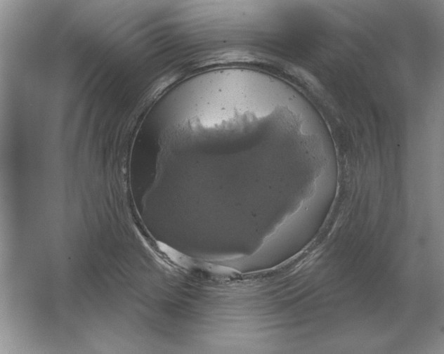 X0000064741225200603031659