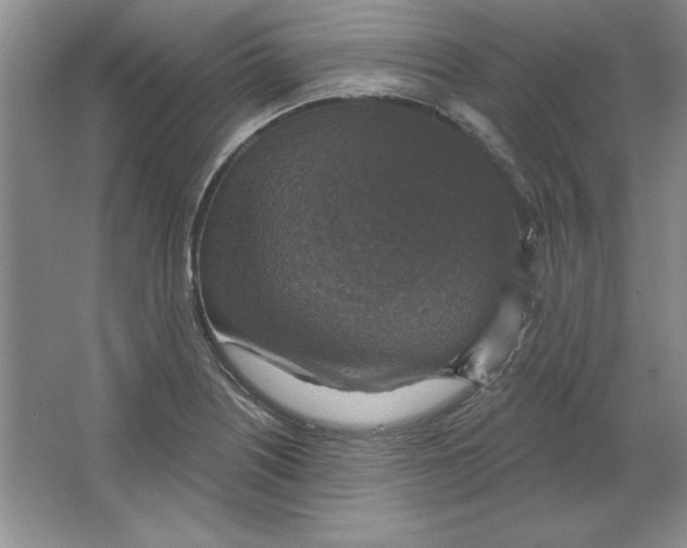 X0000064741226200603031659