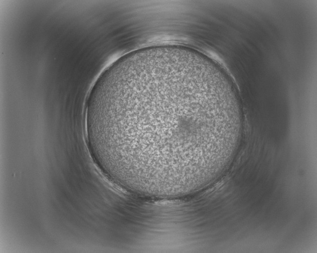 X0000064741227200603031659