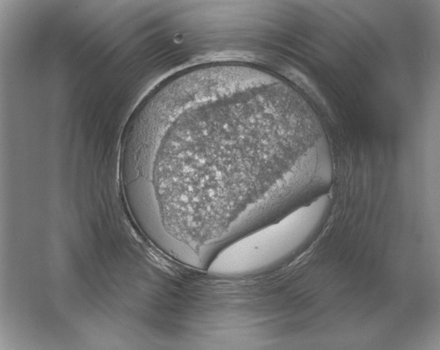 X0000064741228200603031659