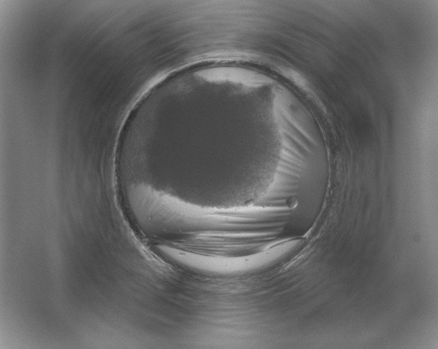 X0000064741229200603031659