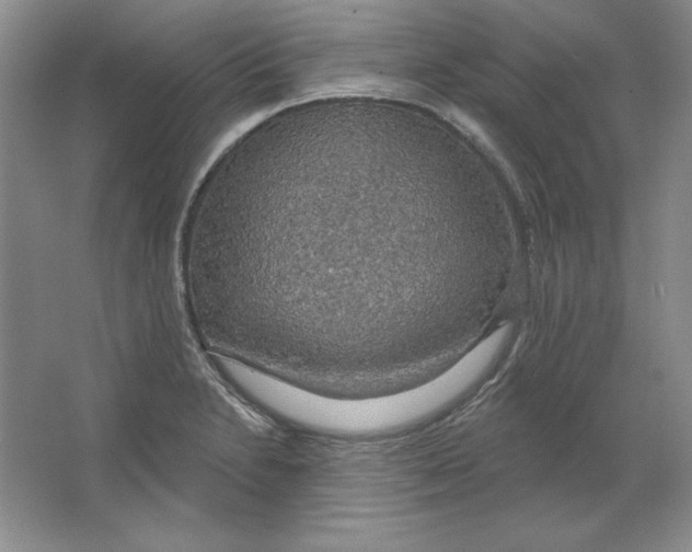 X0000064741230200603031659